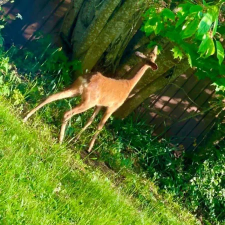 Сasa de vacaciones Miramar Aland
