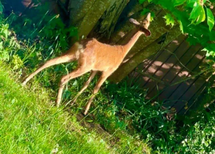 Дом отдыха Miramar Aland